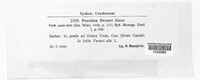 Image Associated With the Occurence